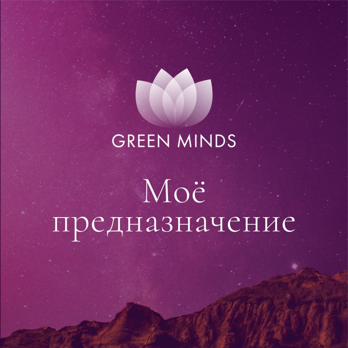 Нейромедитация GREEN MINDS «Моё предназначение» по цене 460 руб. - купить в  Биробиджане ☛ Доставка ☆ Интернет-магазин «EcoGreenDom»